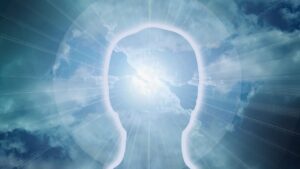 FX 初心者 資金管理 メンタルコントロール 連敗 連勝