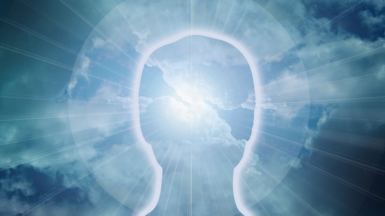 FX 初心者 資金管理 メンタルコントロール 連敗 連勝