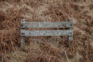 FX 初心者 危険 相場