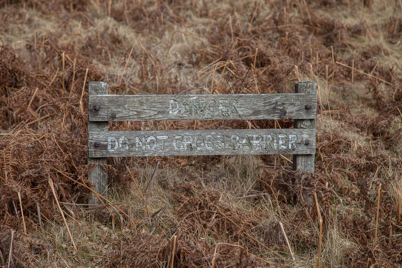 FX 初心者 危険 相場